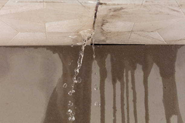 Professional Water Damage Restoration technician working in Wolfforth, TX